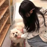 幻想军团官方下载